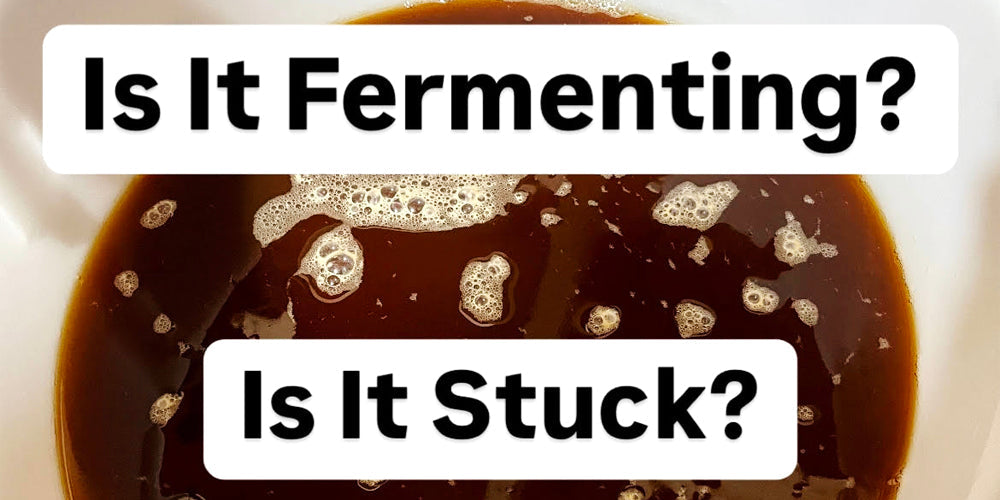 Why is My Wine, Beer, Cider or Lager Not Fermenting?