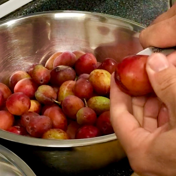 Here, Take a Bag of Plums - Plum Wine Recipe Idea