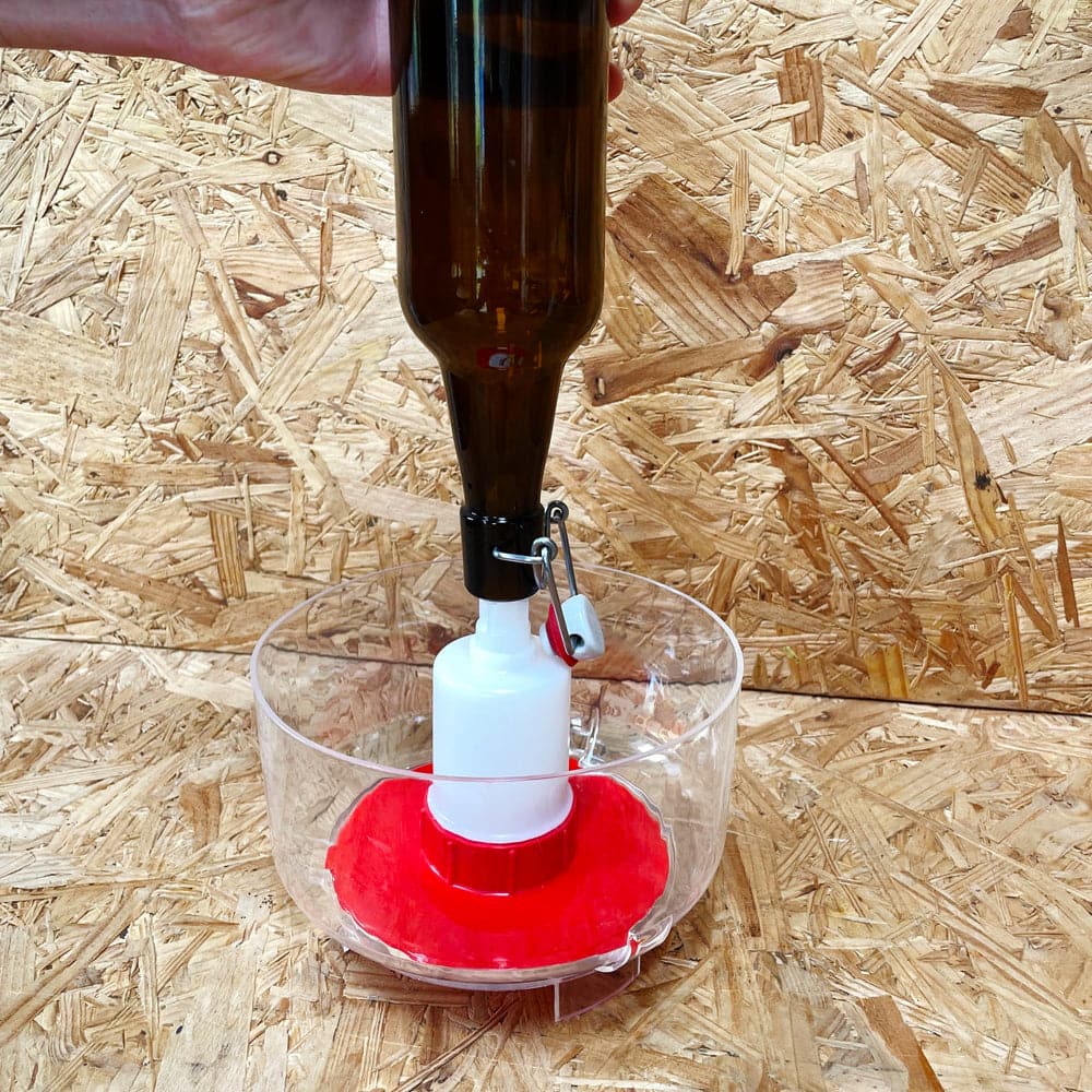 Avvinatore - Bottle Washer and Rinser for Sterilising Beer or Wine Bottles